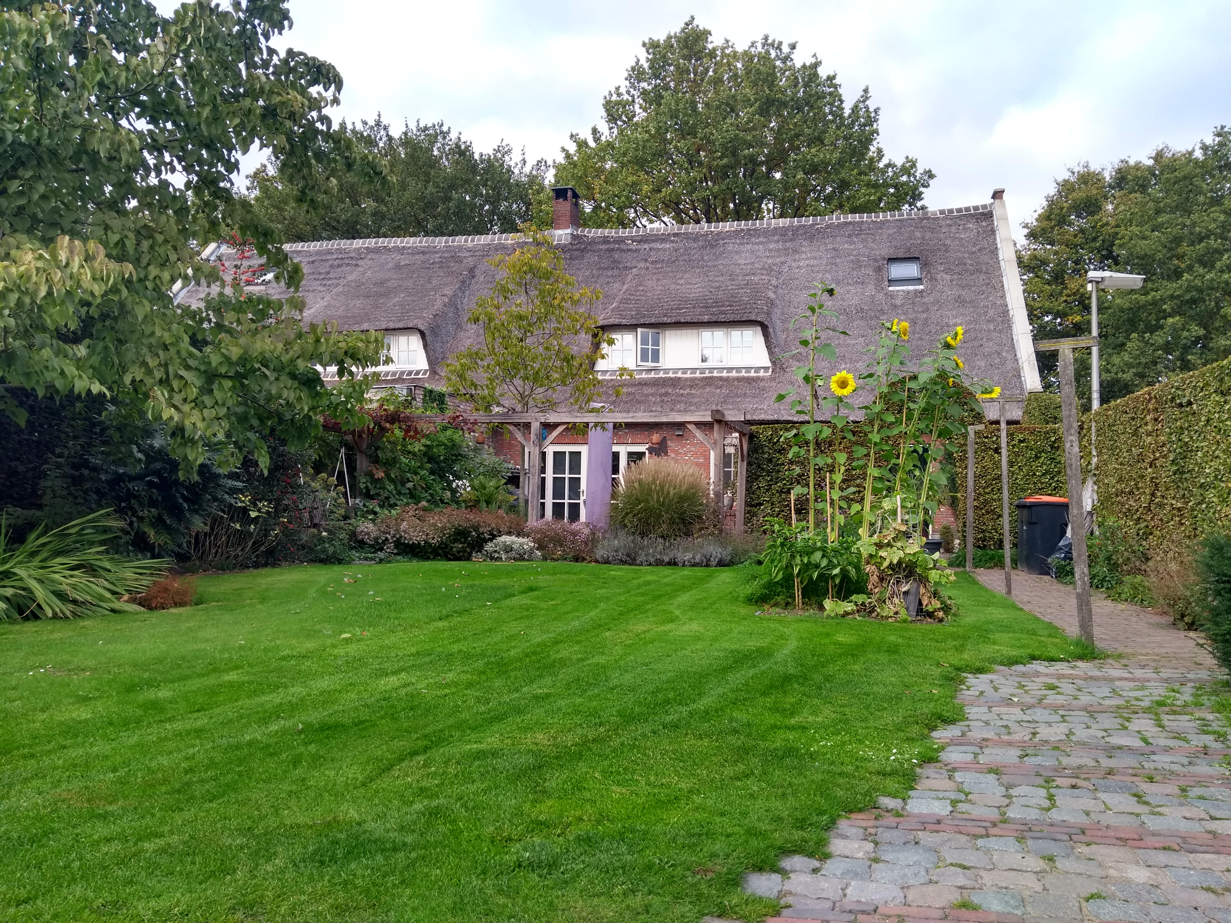 Het verkleinen van de ecologische voetafdruk in de tuin