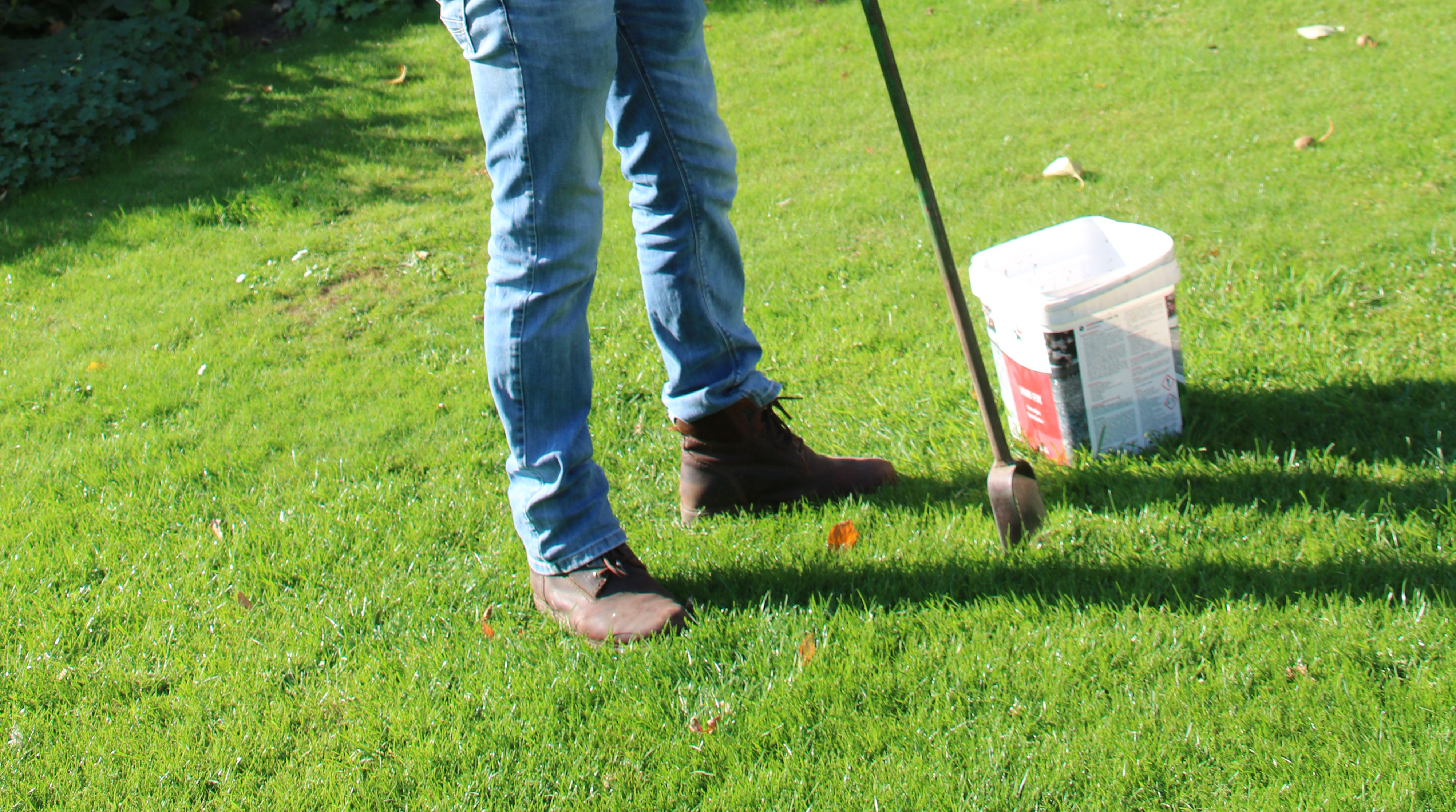 Bodemmonsters: zo zorgen we dat de basis voor een tuin goed is