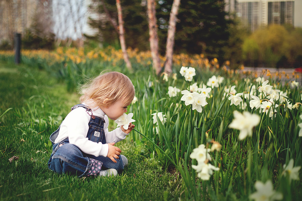 feel good garden