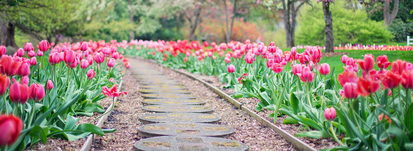 Vormen in de tuin en het effect daarvan