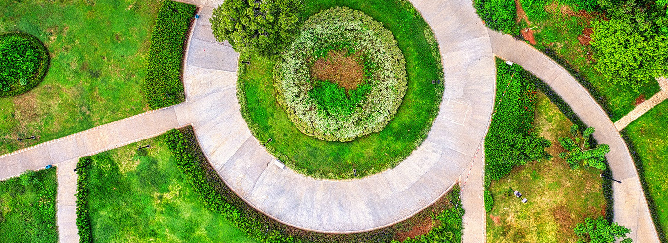 Een tuin met natuurlijke vormen