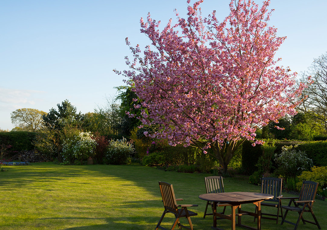 landelijke tuin